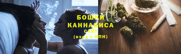 альфа пвп Горнозаводск