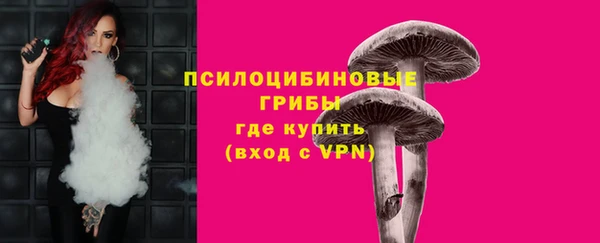 кристаллы Вяземский